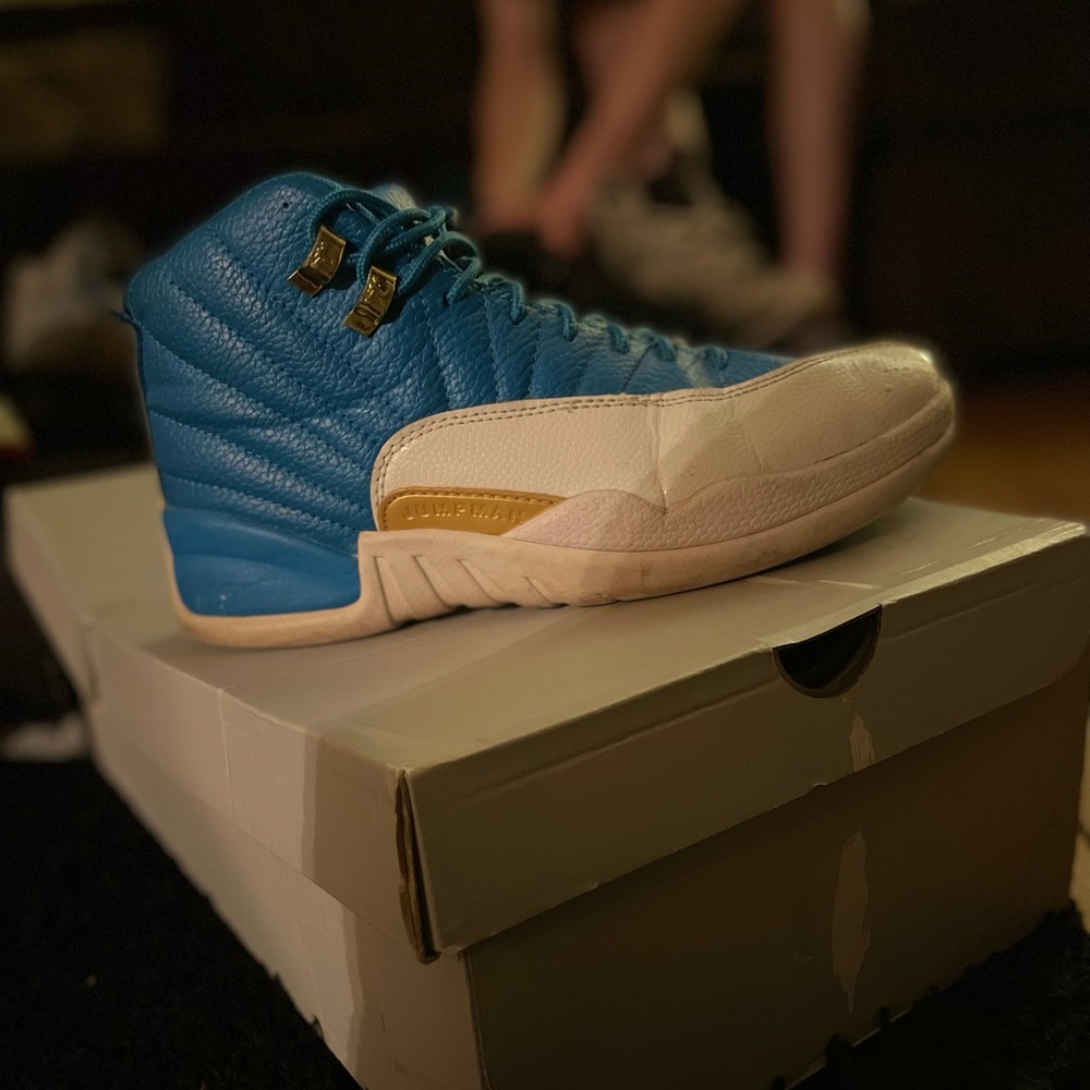 Mens size 8 jordan 12